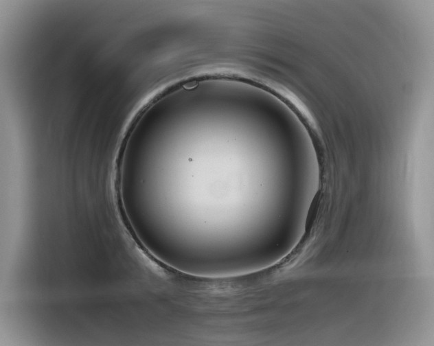 X0000116370799200912021152