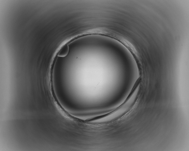 X0000116370800200912021152