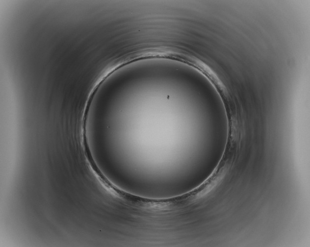 X0000116370802200912021152