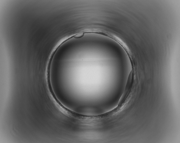 X0000116370803200912021152