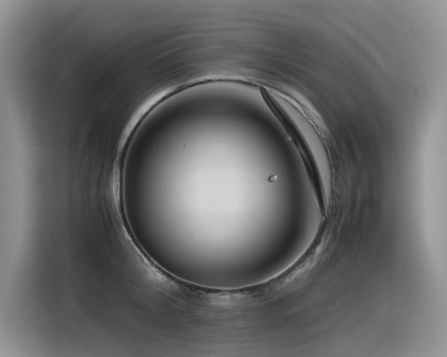 X0000116370804200912021152