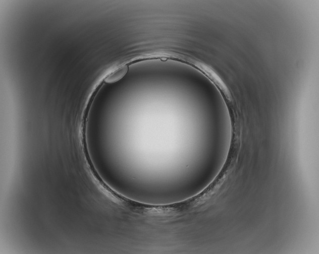 X0000116370805200912021152
