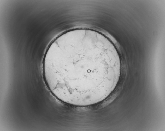 X0000116370807200912021152