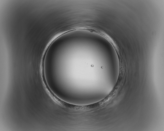 X0000116370811200912021152