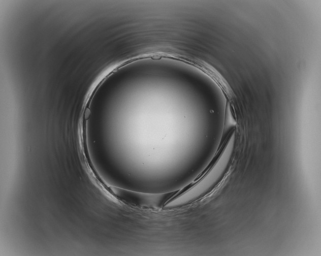 X0000116370812200912021152