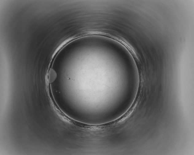 X0000116370814200912021152