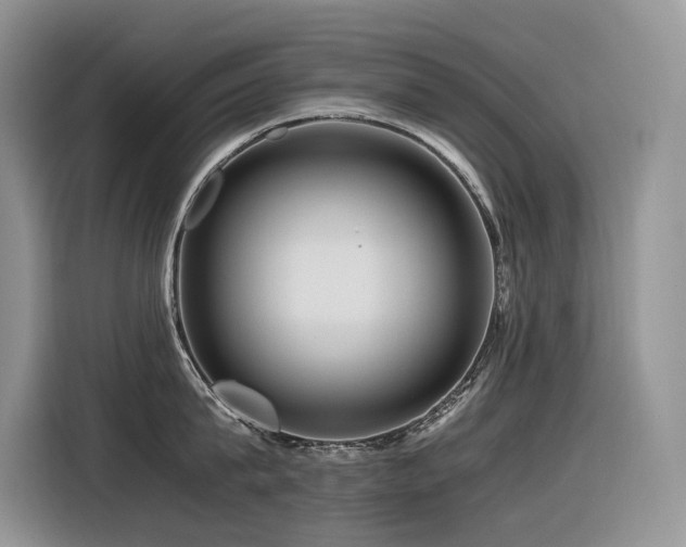 X0000116370815200912021152