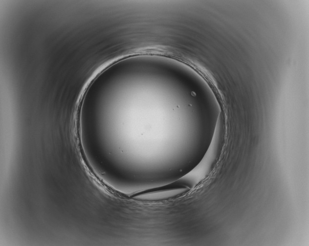 X0000116370816200912021152