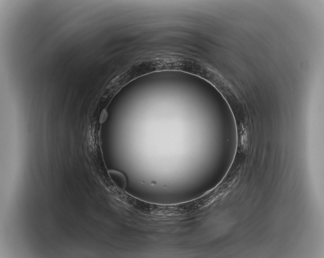 X0000116370819200912021151