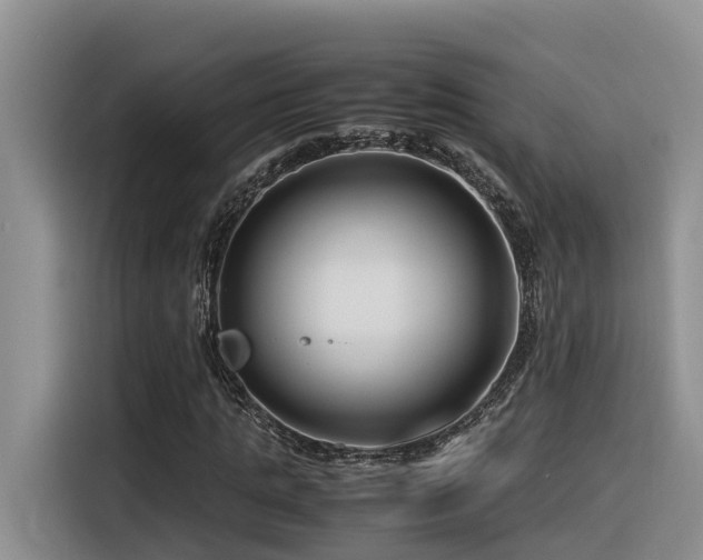X0000116370821200912021151