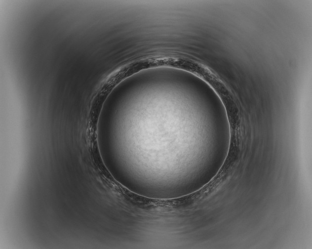 X0000116370822200912021151