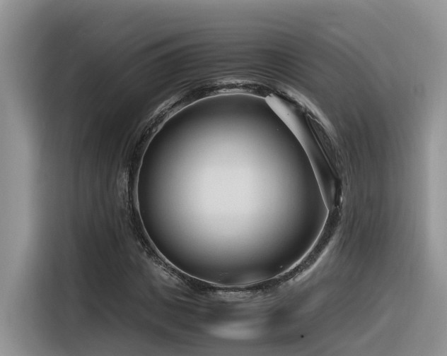 X0000116370825200912021151