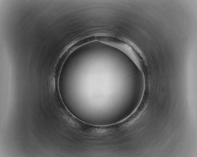 X0000116370829200912021152