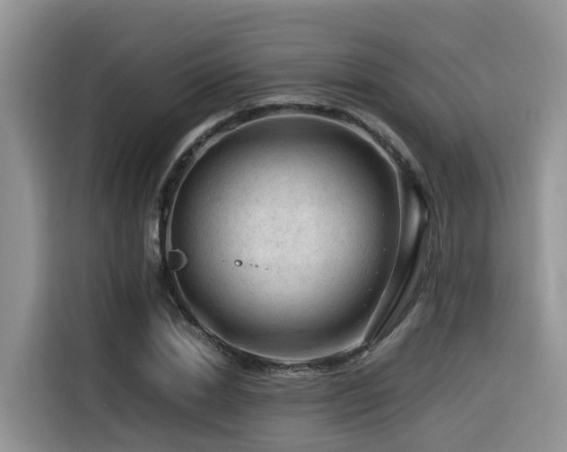 X0000116370830200912021152