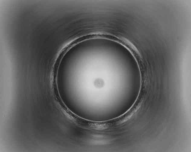 X0000116370831200912021152