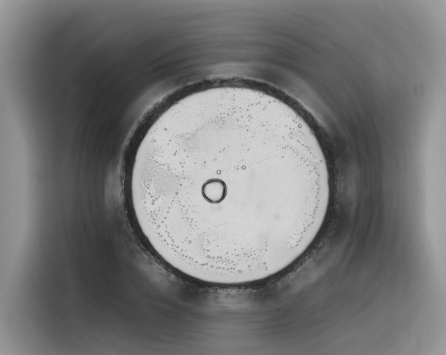 X0000116370832200912021152