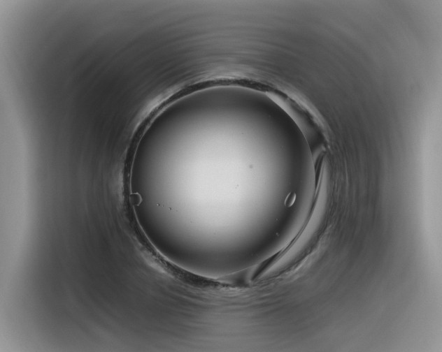X0000116370834200912021152