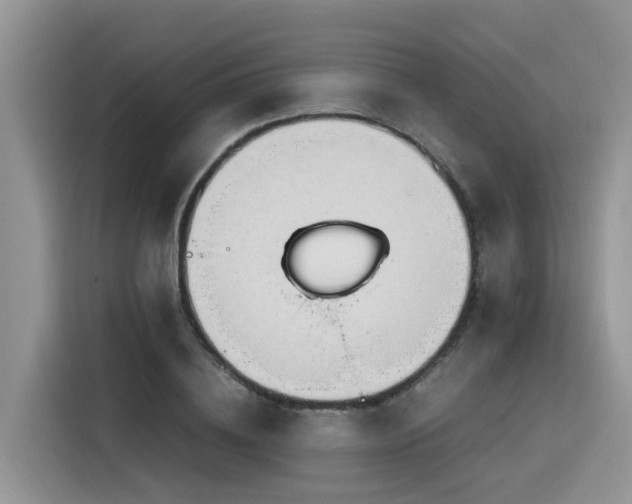 X0000116370836200912021152