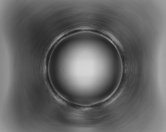 X0000116370837200912021152