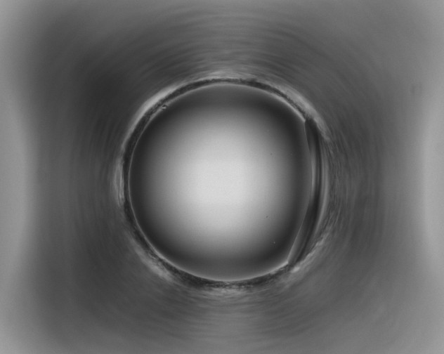 X0000116370838200912021152