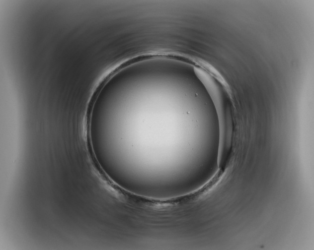 X0000116370839200912021152
