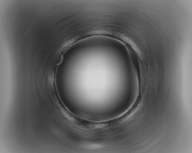 X0000116370841200912021152