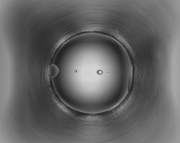 X0000116370842200912021152