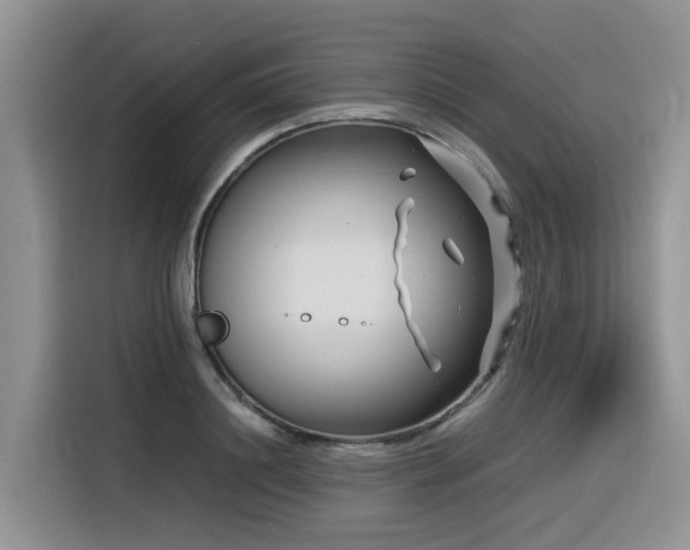 X0000116370844200912021152