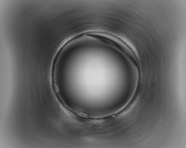 X0000116370845200912021152