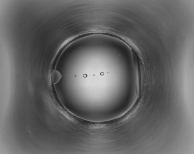 X0000116370846200912021152