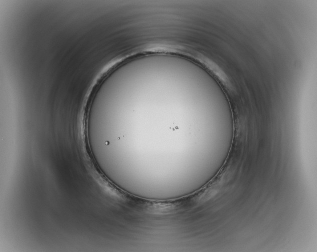 X0000116370848200912021152