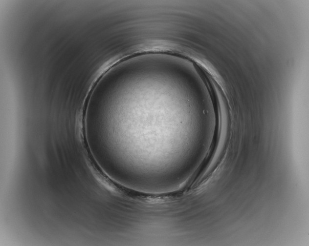 X0000116370850200912021152