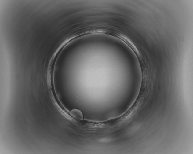 X0000116370851200912021152