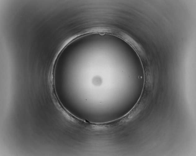 X0000116370852200912021152