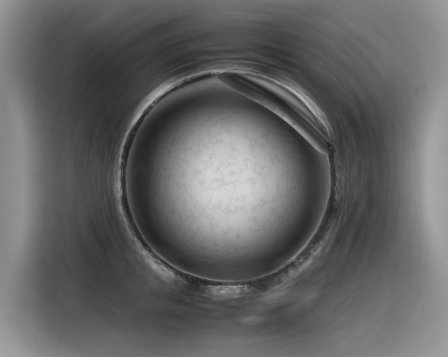 X0000116370853200912021152