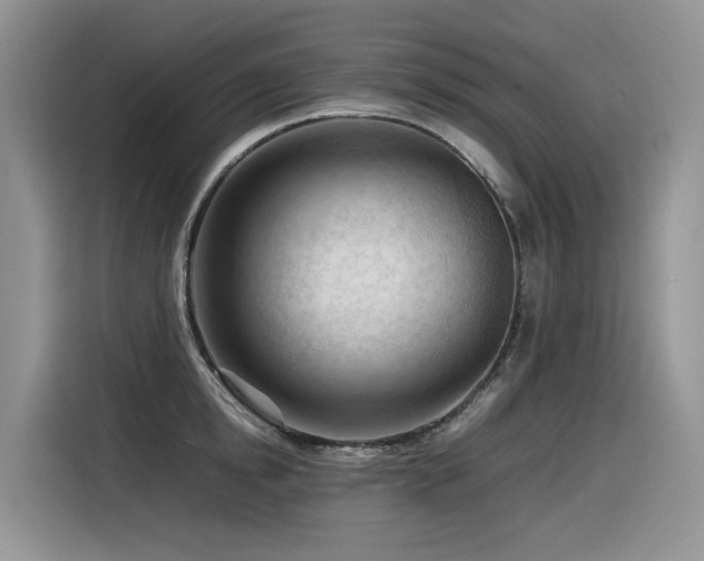 X0000116370854200912021152