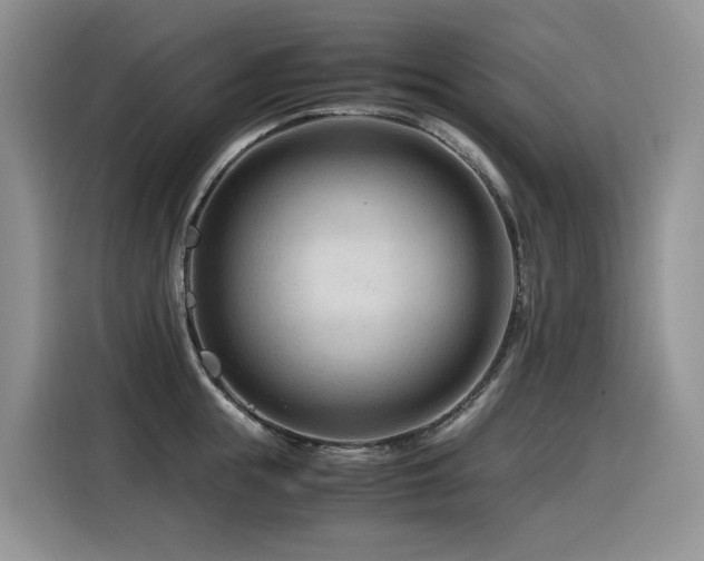X0000116370855200912021152