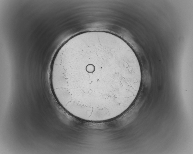 X0000116370856200912021152