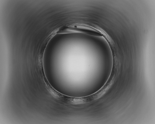 X0000116370857200912021152