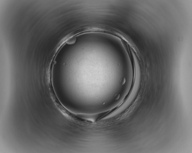X0000116370858200912021152