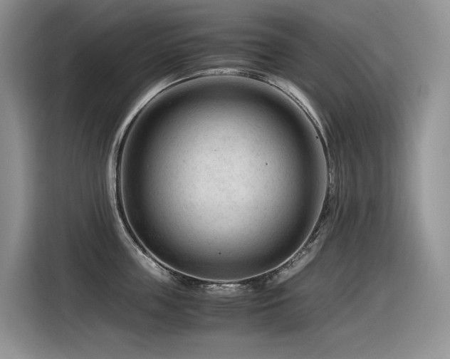 X0000116370859200912021152