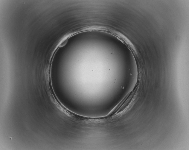 X0000116370860200912021152