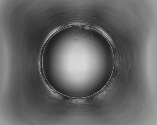 X0000116370861200912021152