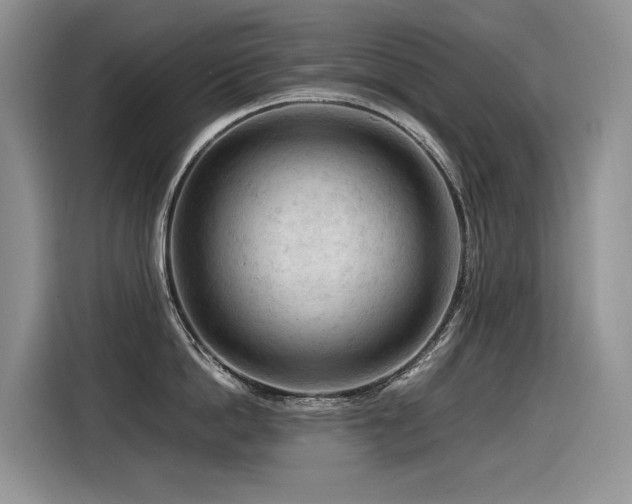 X0000116370862200912021152
