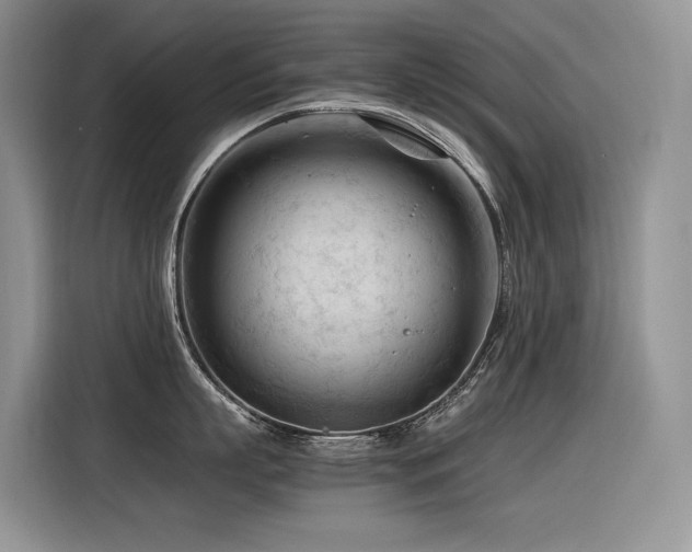X0000116370863200912021152