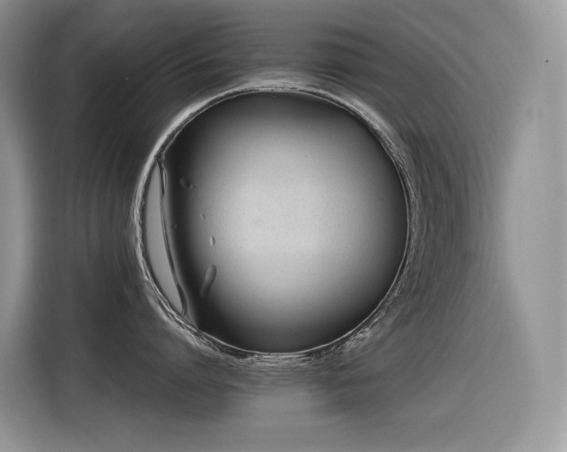 X0000116370864200912021152