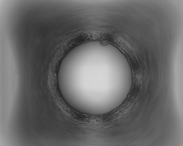 X0000116370865200912021151
