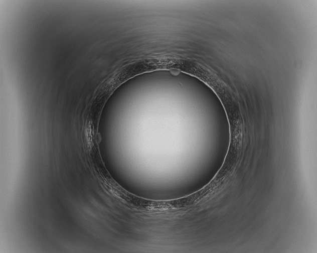 X0000116370866200912021151