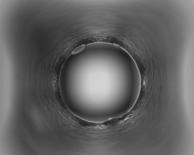 X0000116370867200912021151