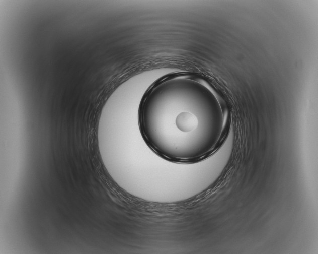 X0000116370868200912021151